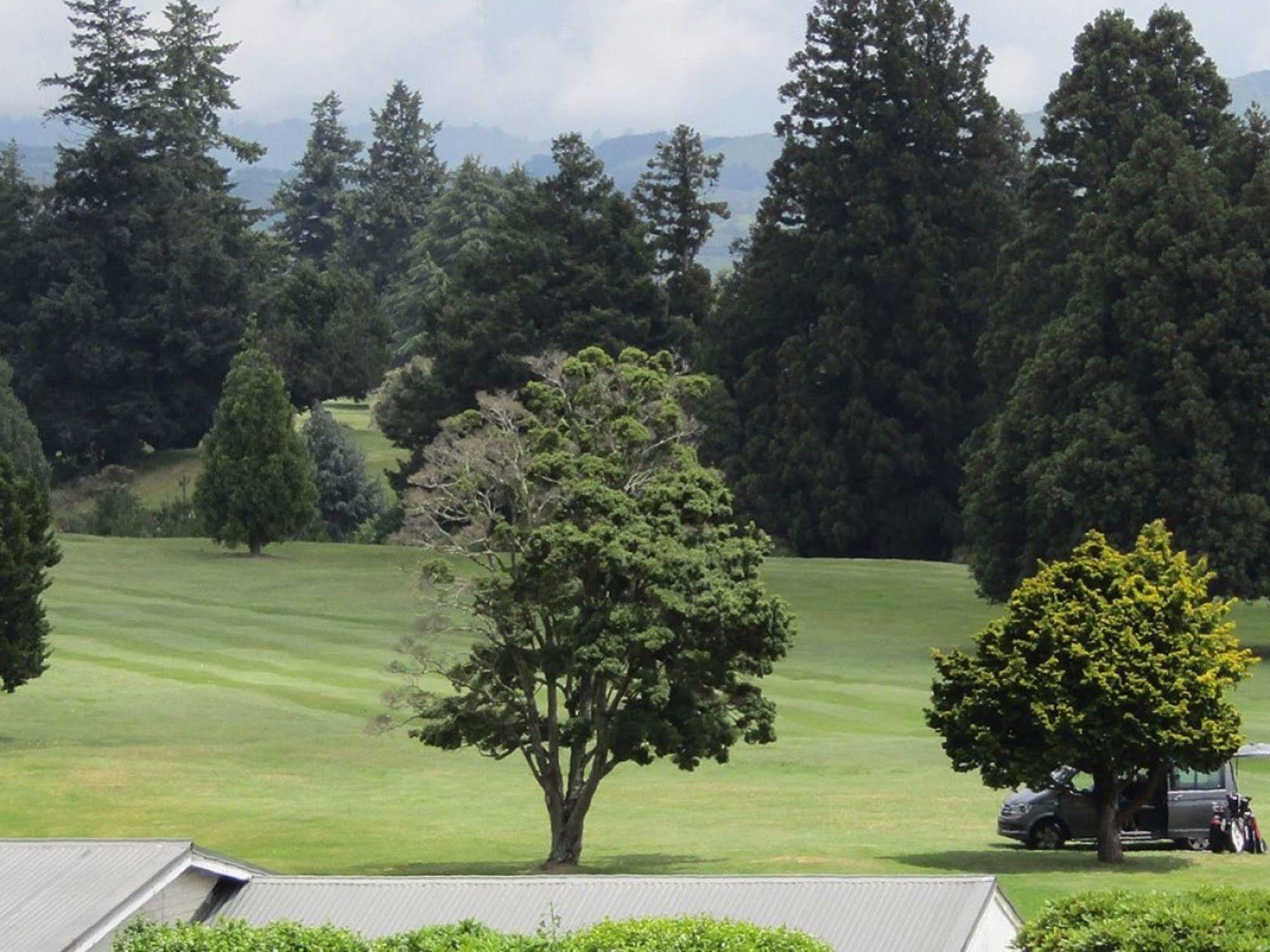 Pohutu Lodge Motel Rotorua Eksteriør bilde