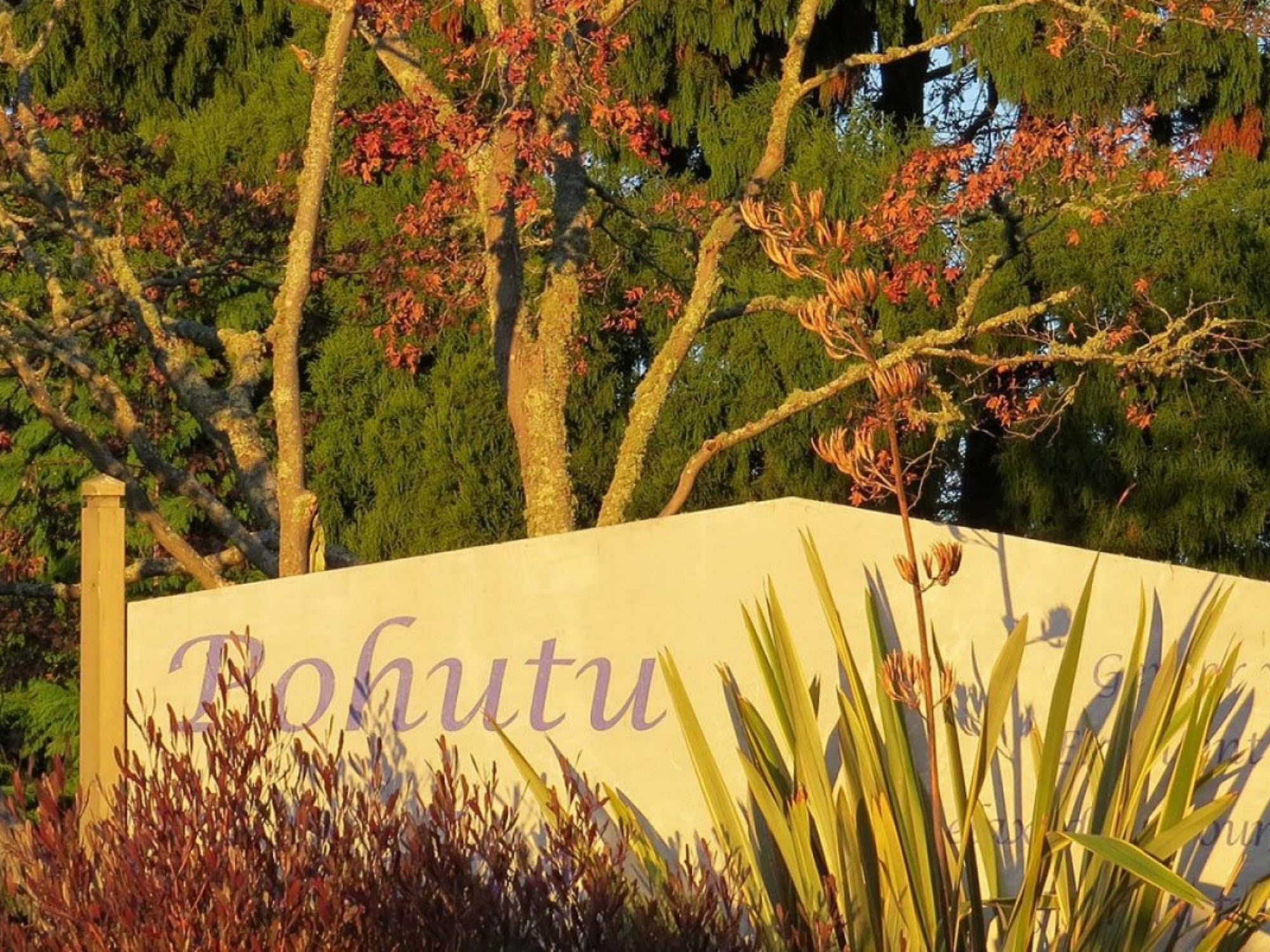 Pohutu Lodge Motel Rotorua Eksteriør bilde